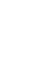Lamborghini Logo
